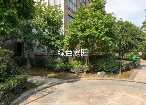 紹興市綠澤家園房產(chǎn)信息咨詢(xún)服務(wù)部 您的專(zhuān)業(yè)房產(chǎn)信息咨詢(xún)伙伴